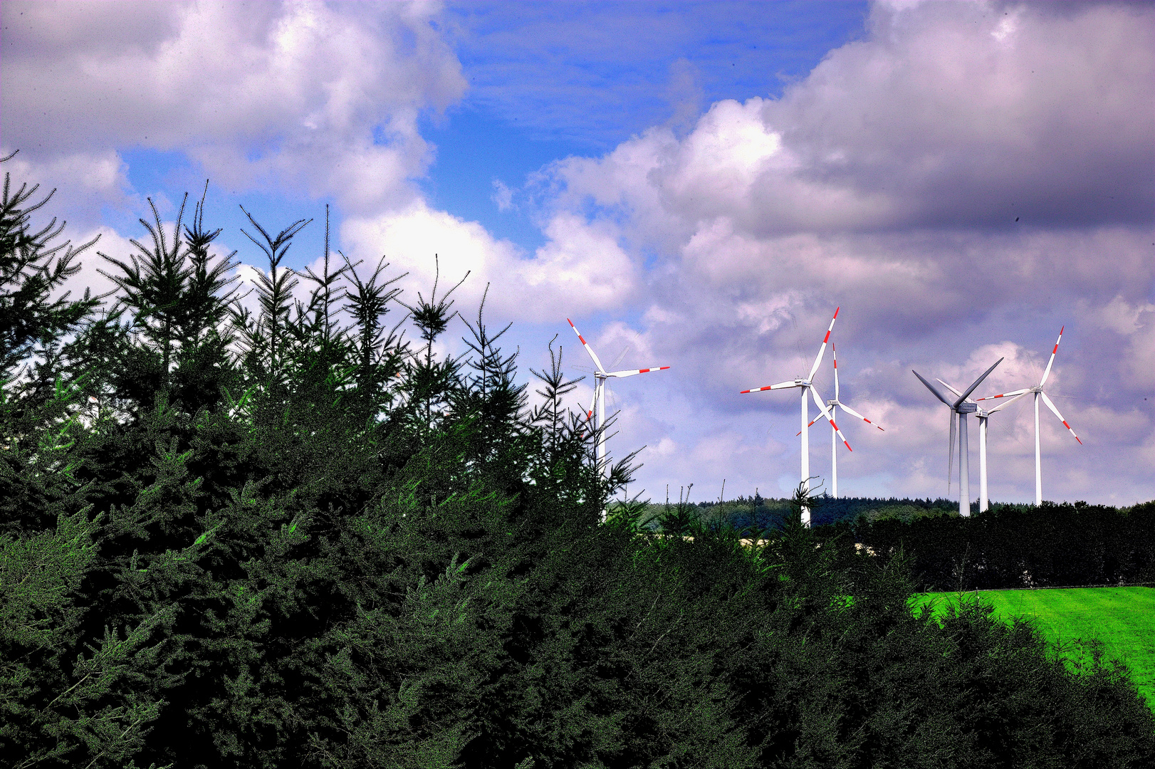 meine windräder im garden