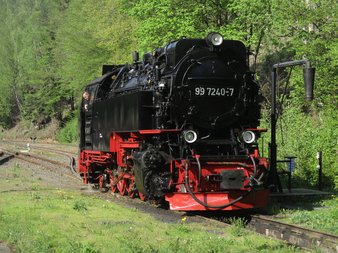 Meine Wochenend Fotoausbeute von der HSB 1.