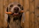 Meine Wurst! by Jeanette H. 