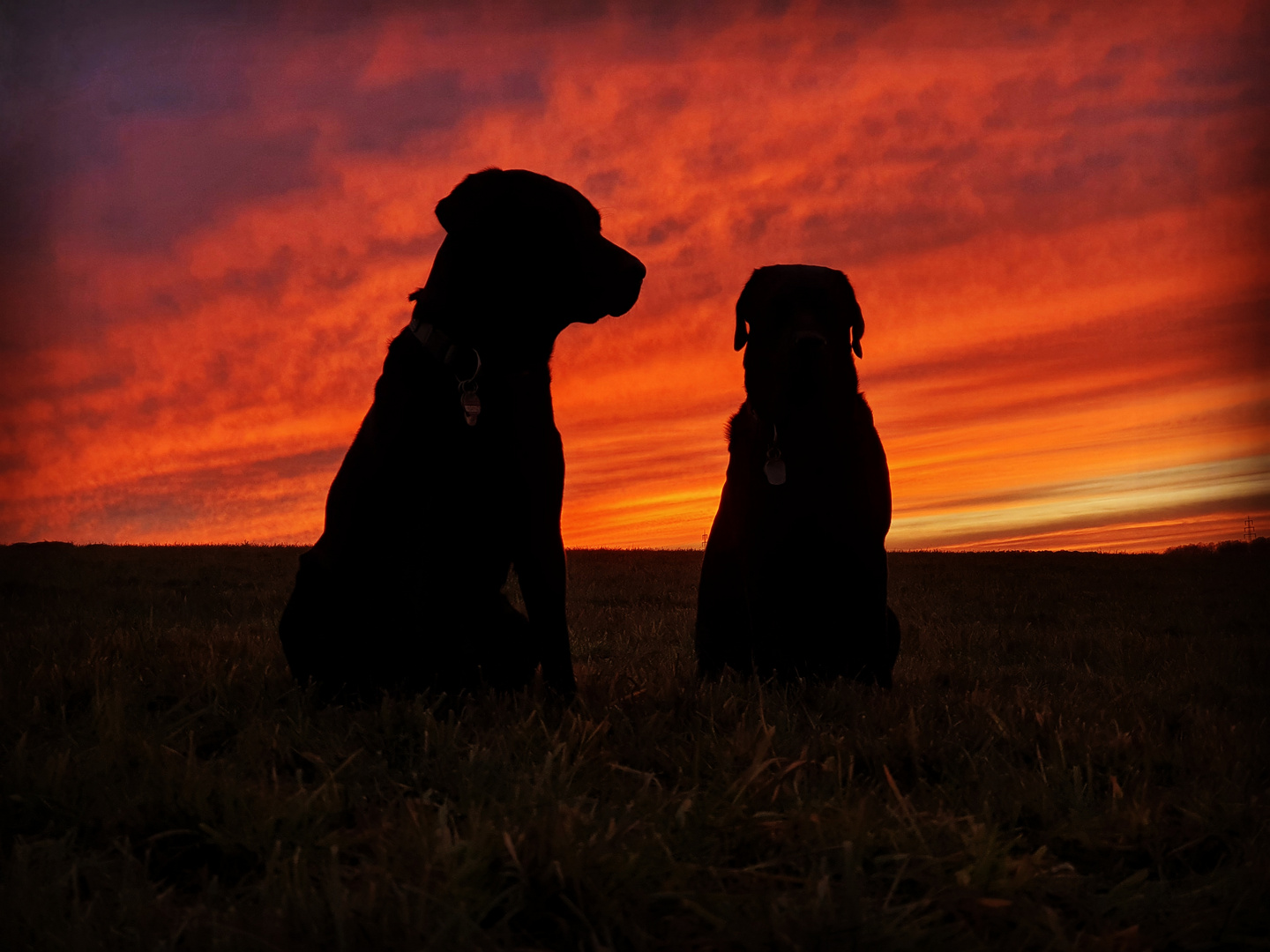 Meine zwei Mädels beim Sonnenuntergang Samsung Note 10+