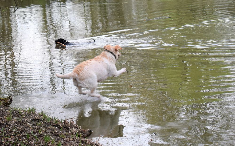 Meine zwei Wassermädel`s , 