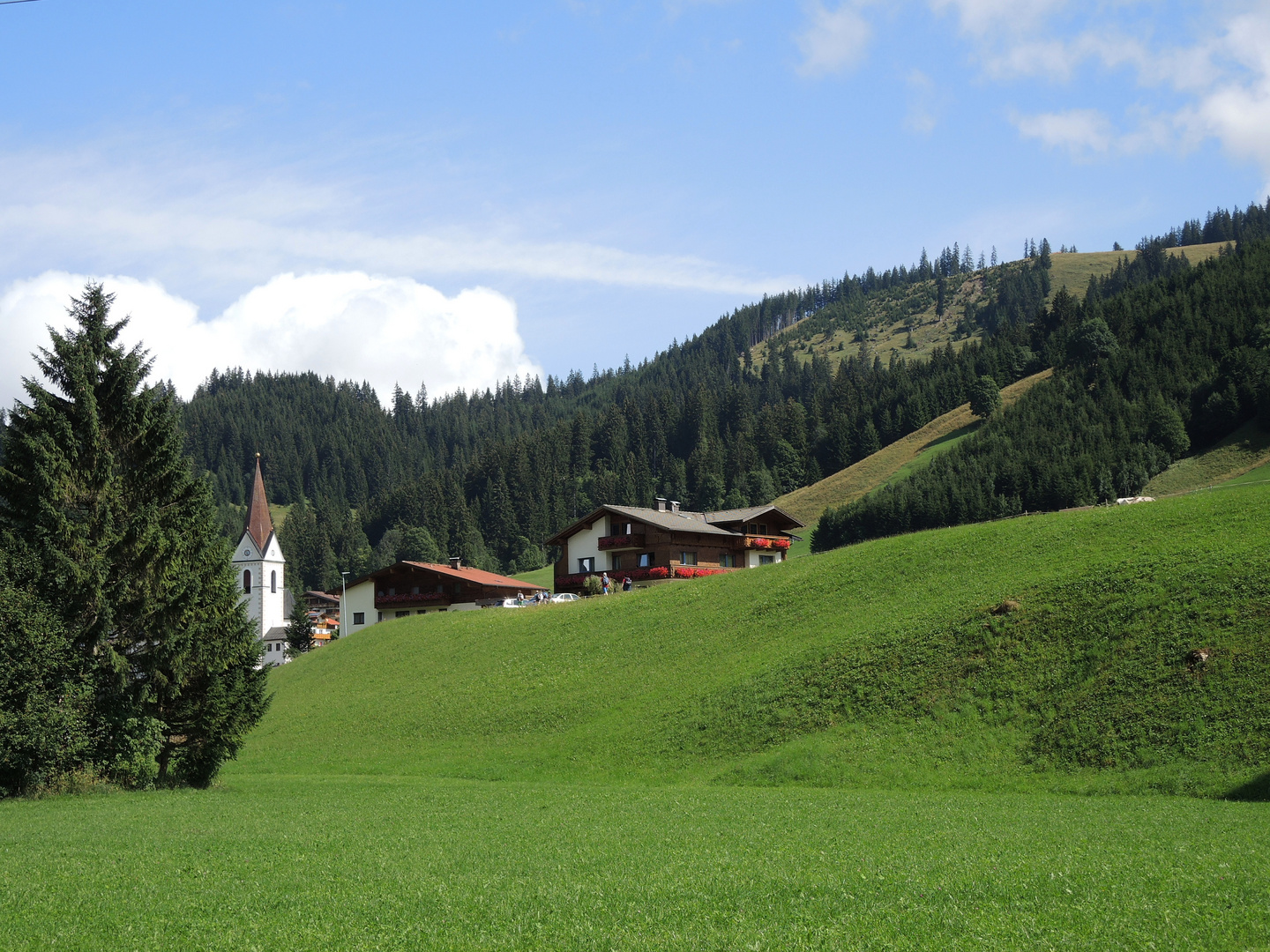 Meine zweite Heimat  1