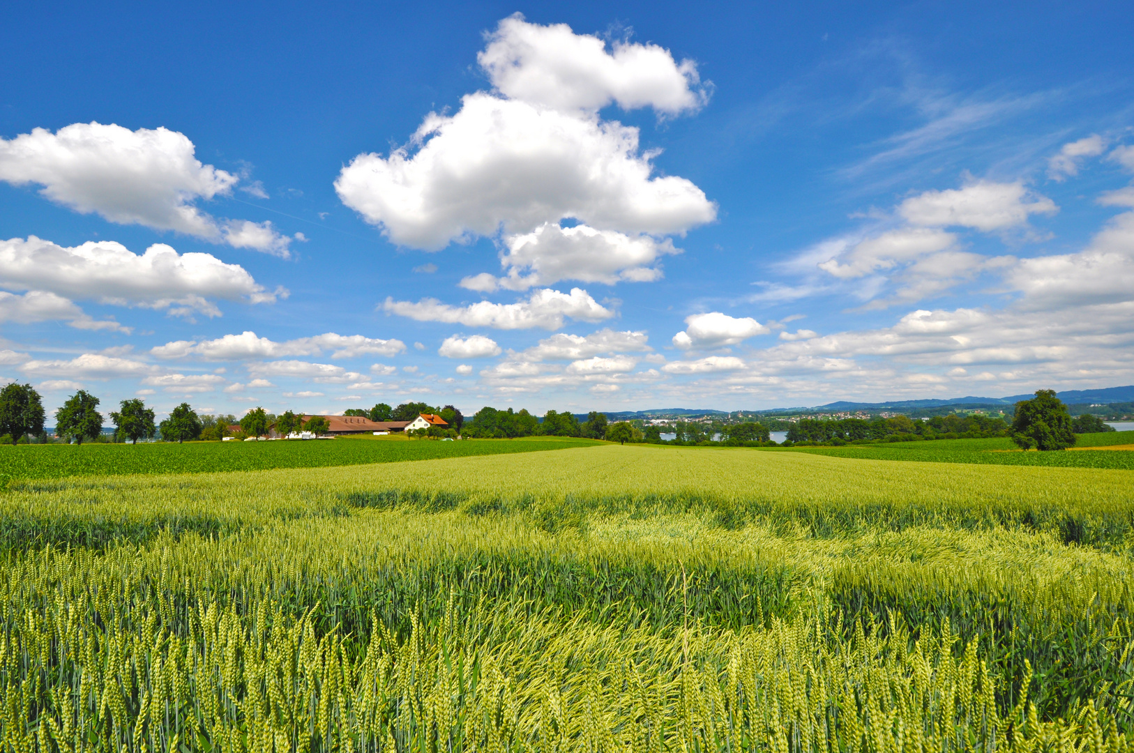 Meine zweite Heimat ...Maur