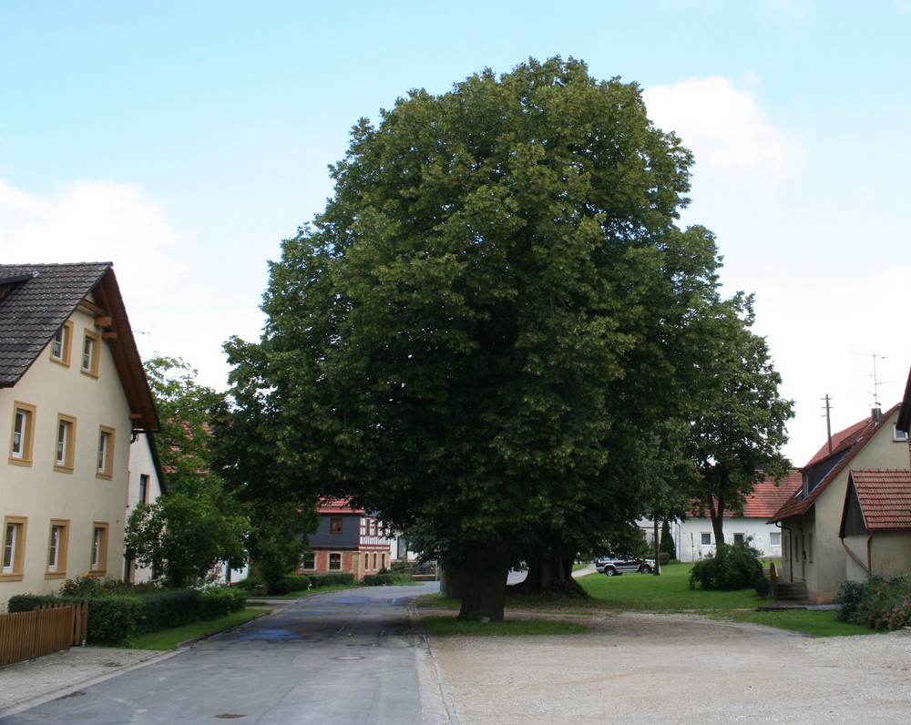 Meinen Ahnen auf der Spur - 3 - im Landkreis Bamberg