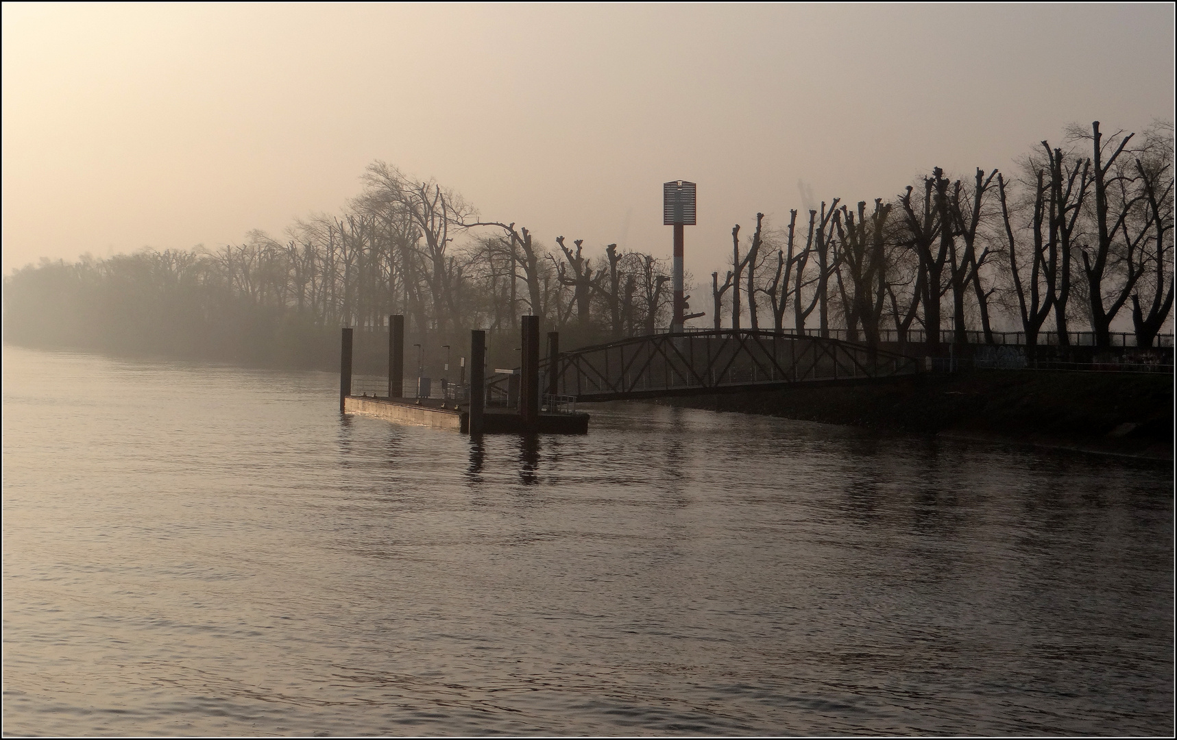 "meinen Platz"...an der Elbe