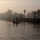 "meinen Platz"...an der Elbe