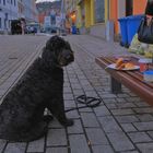 Meiningen, Café-Besuch in heutigen Zeiten (en la cafetería hoy en día)