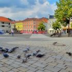 Meiningen, Tauben auf dem Marktplatz (Meiningen, palomas en la plaza mayor)