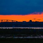 Meiningenbrücke bei Zingst