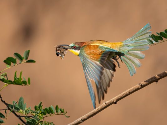 MEINS... ich teile nicht !