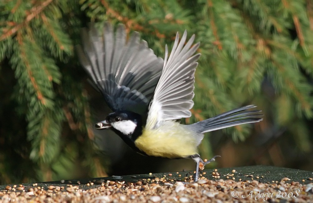 "meins....und weg"