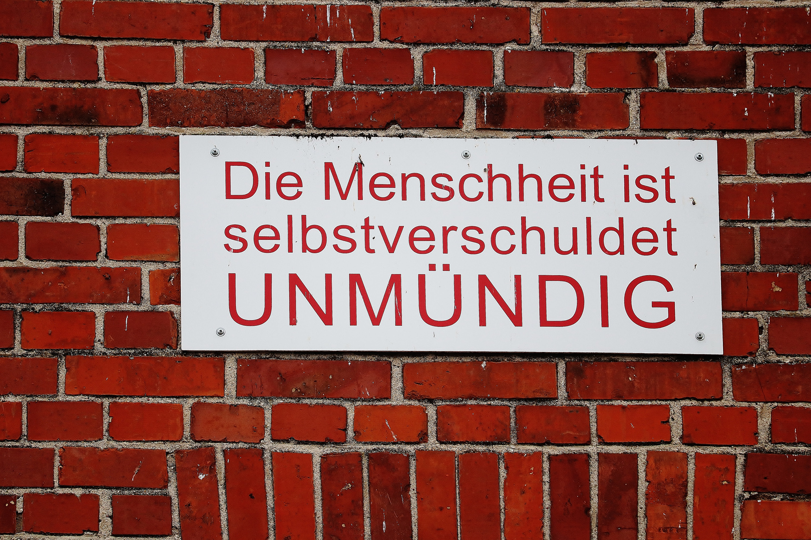 Meinungsfreiheit ( am Sonnabend )