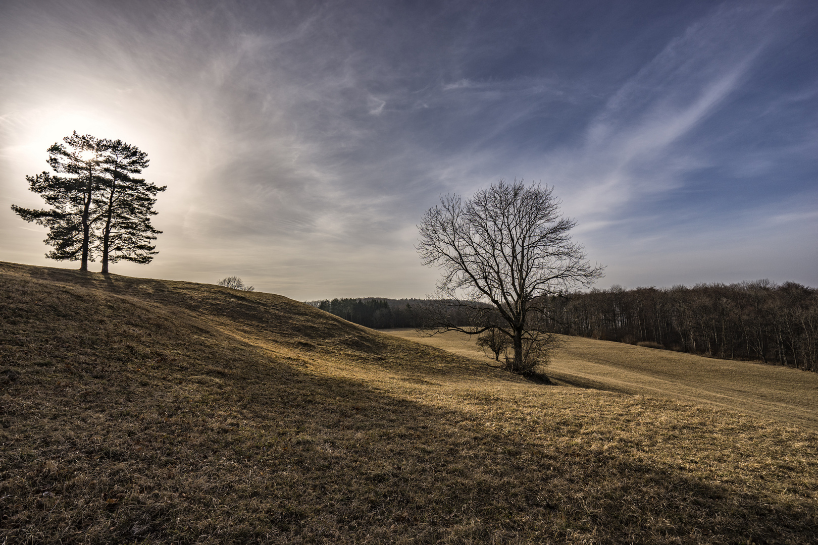 Meisenbühl (Höhenburg?)