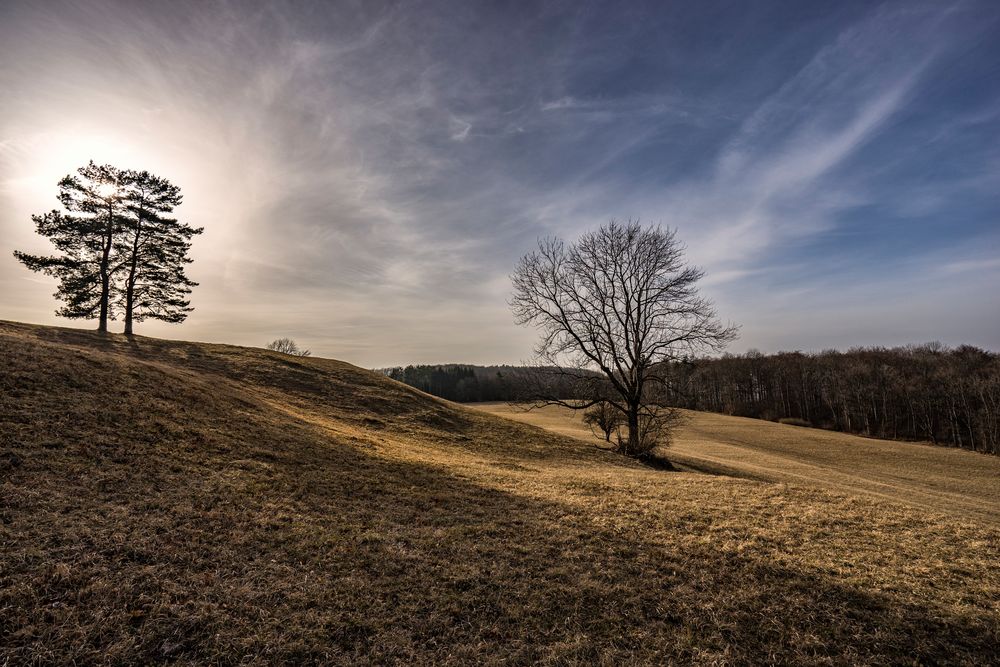 Meisenbühl (Höhenburg?)