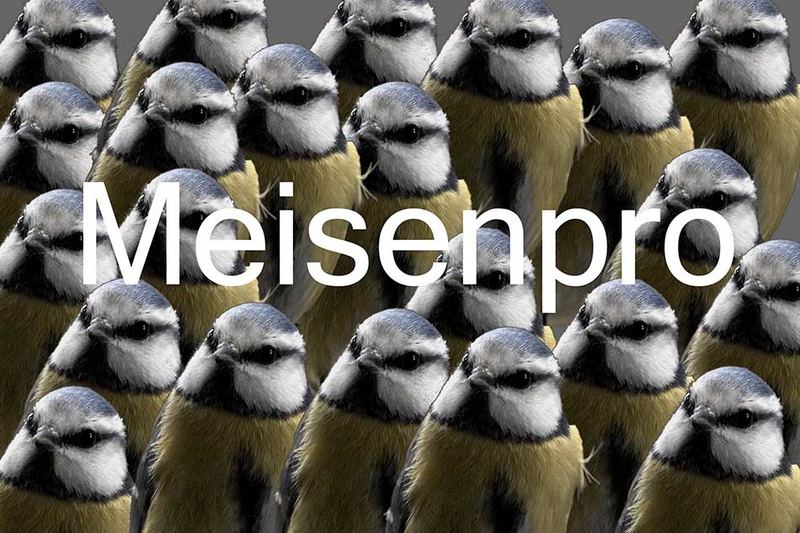 Meisenpro