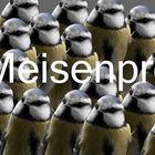 Meisenpro