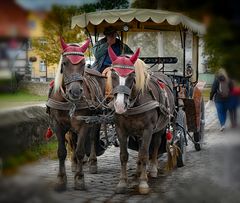 Meißen Sachsen die Beiden sehen müde aus ......