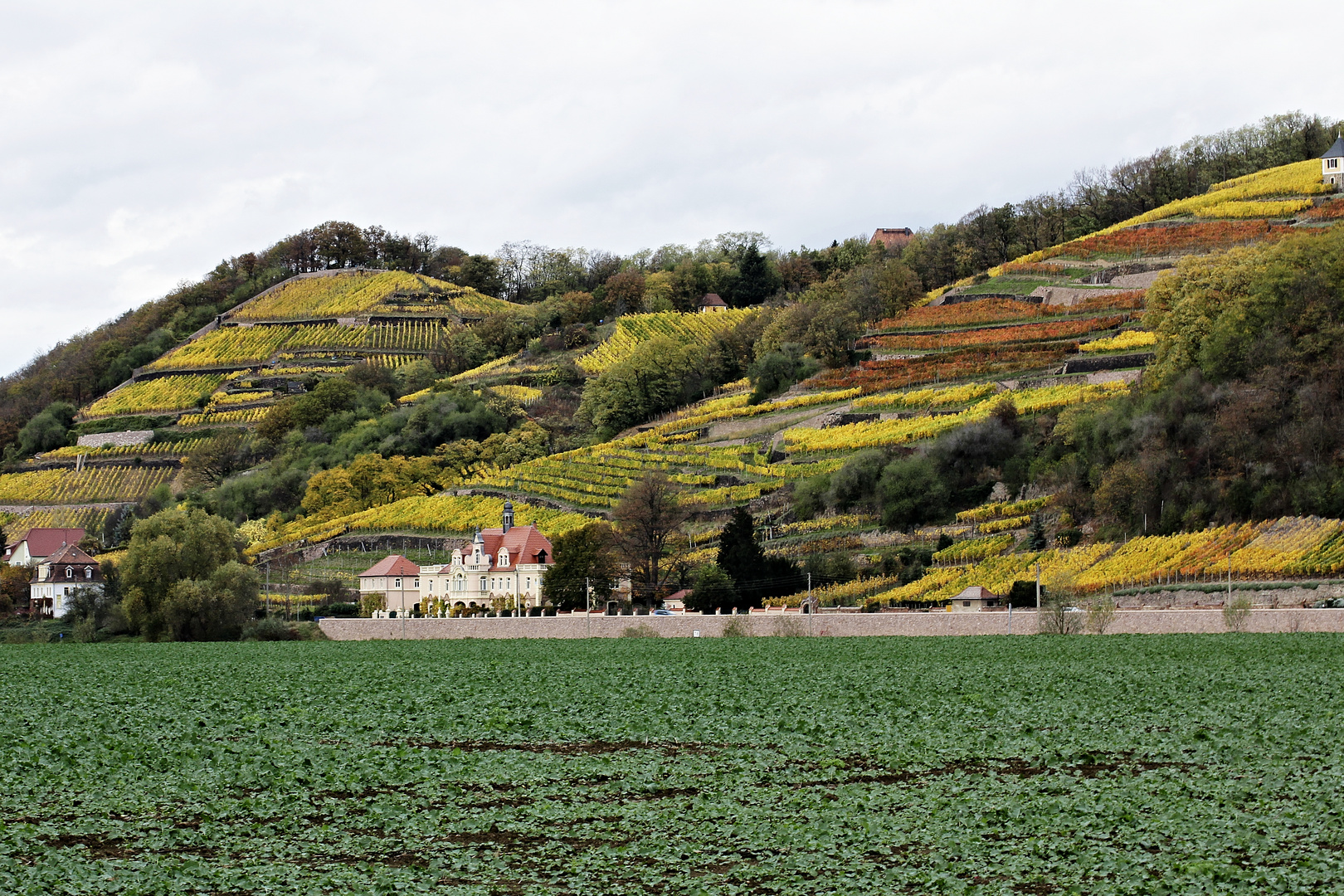 Meißen - Spaar