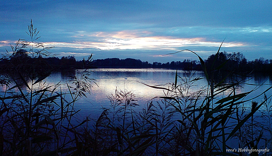 Meißendorfer Teich