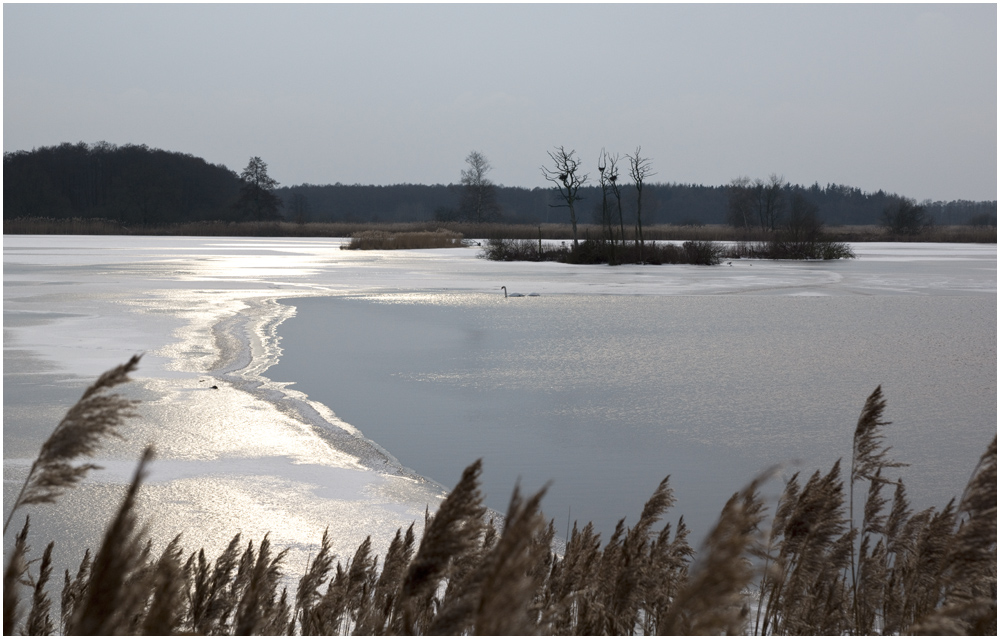 Meißendorfer Teiche im Winter 2 Foto & Bild landschaft, bach, fluss