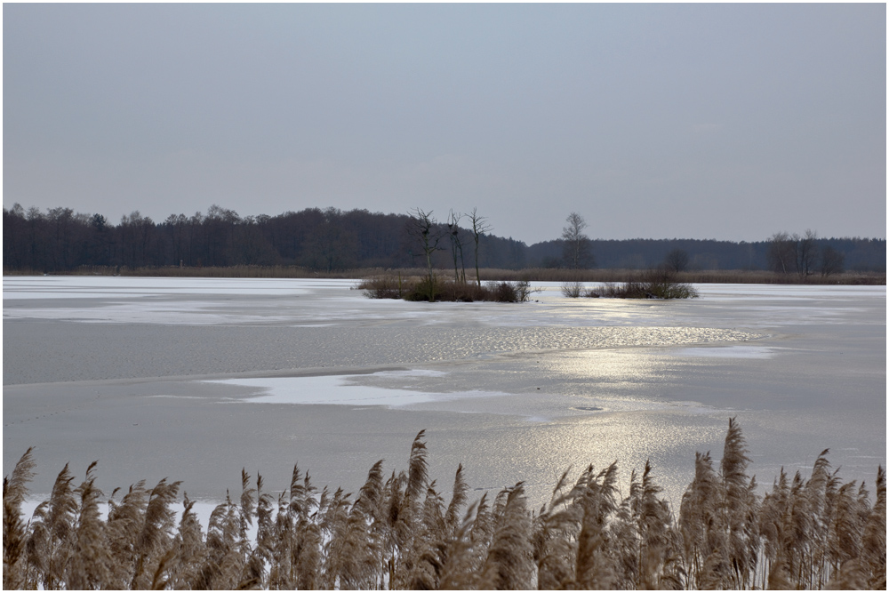 Meißendorfer Teiche im Winter 3 Foto & Bild landschaft, bach, fluss