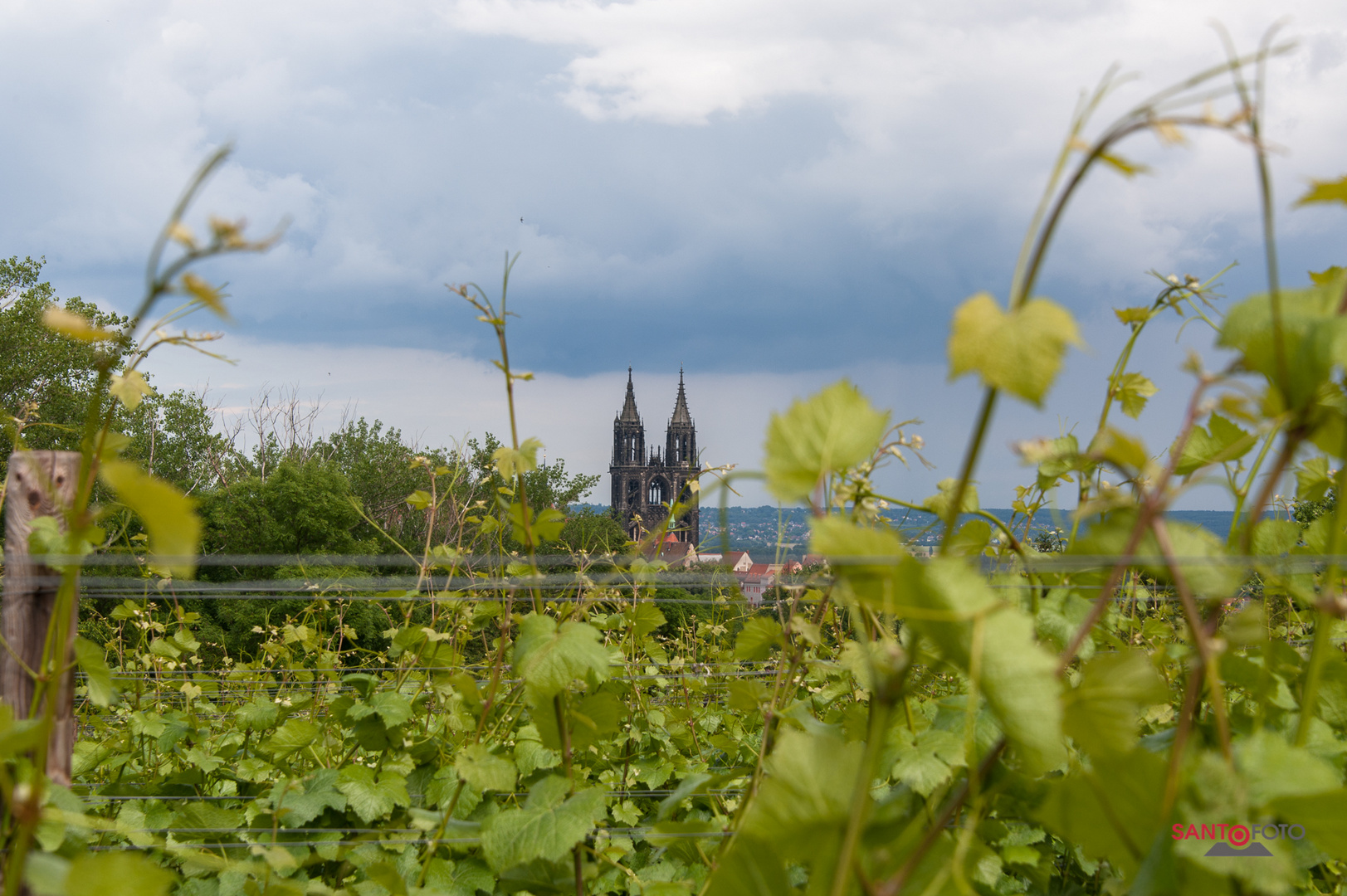 Meissner Dom von Rothes Weingut