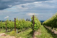 Meissner Dom von Rothes Weingut- die Dritte