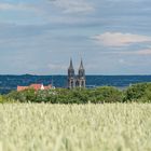 Meissner Dom von Rothes Weingut- die Zweite