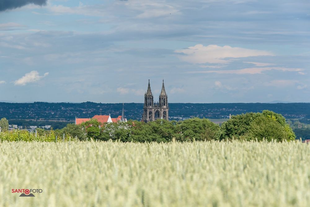 Meissner Dom von Rothes Weingut- die Zweite