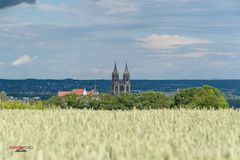 Meissner Dom von Rothes Weingut- die Zweite