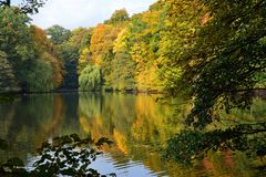 Meister Herbst schwingt seinen Pinsel