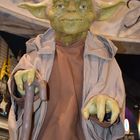 Meister Yoda