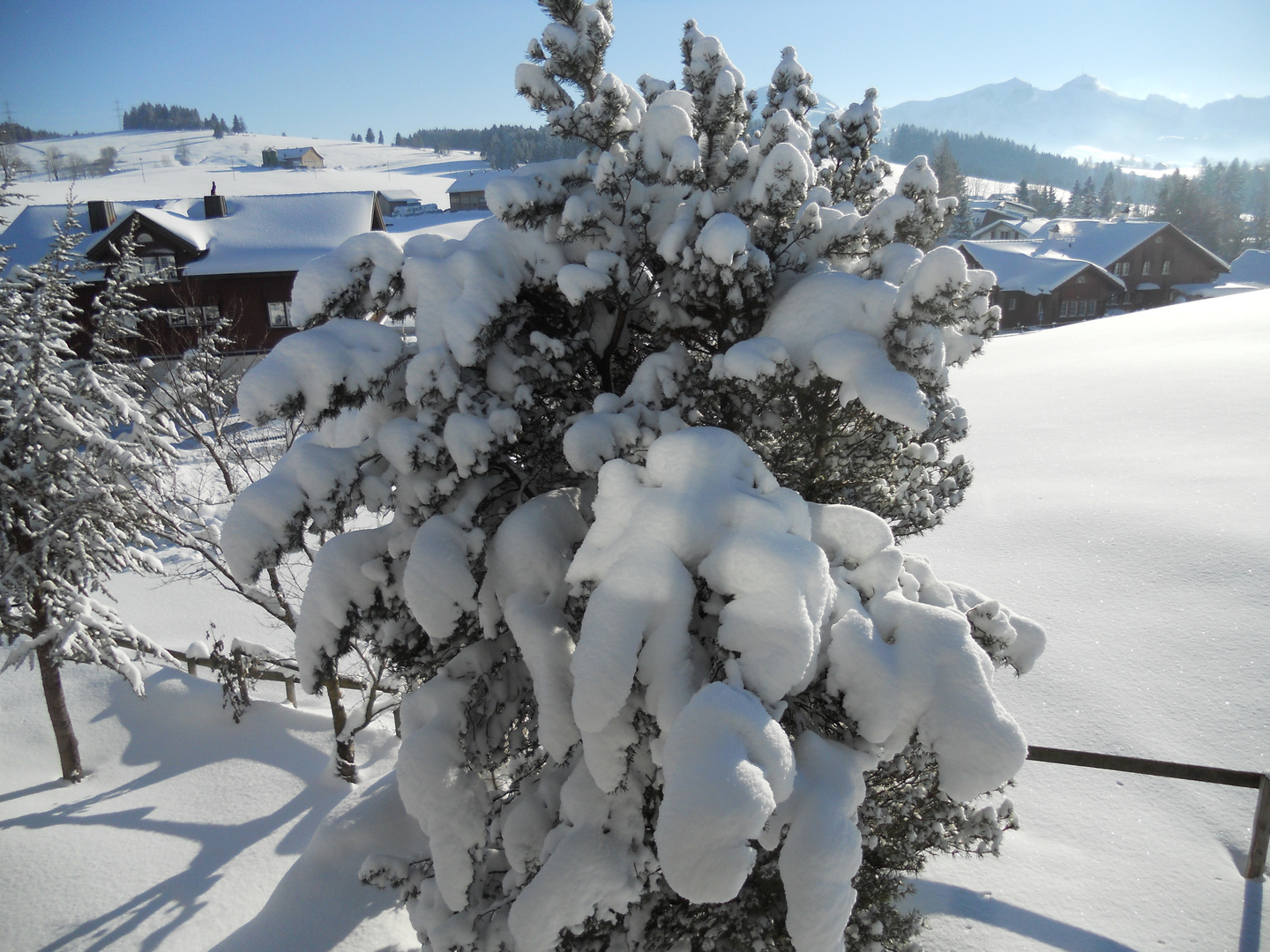 Meistersrüte Appenzell