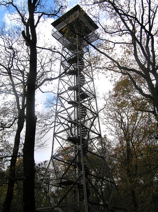 Meisterturm am Kapellenberg