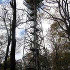 Meisterturm am Kapellenberg