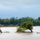 Mekong...