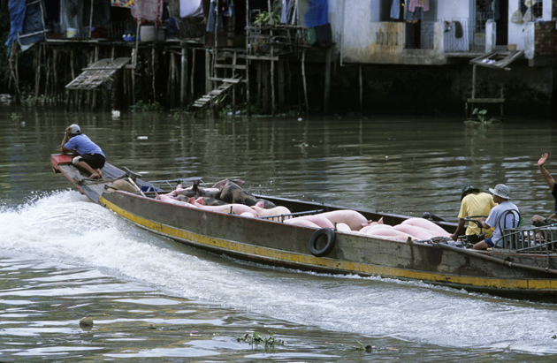 Mekong