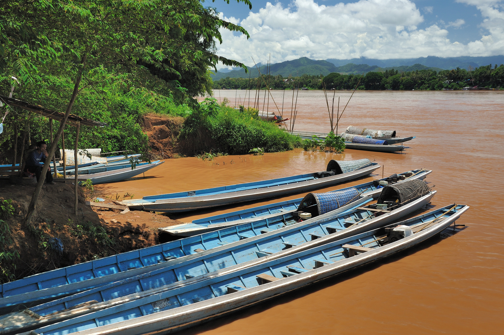 Mekong boats