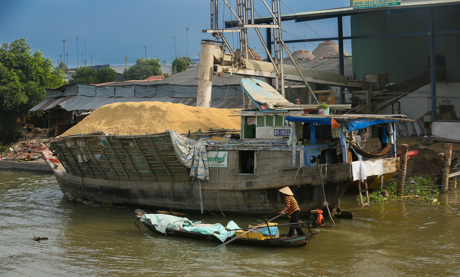 Mekong, Brandgut