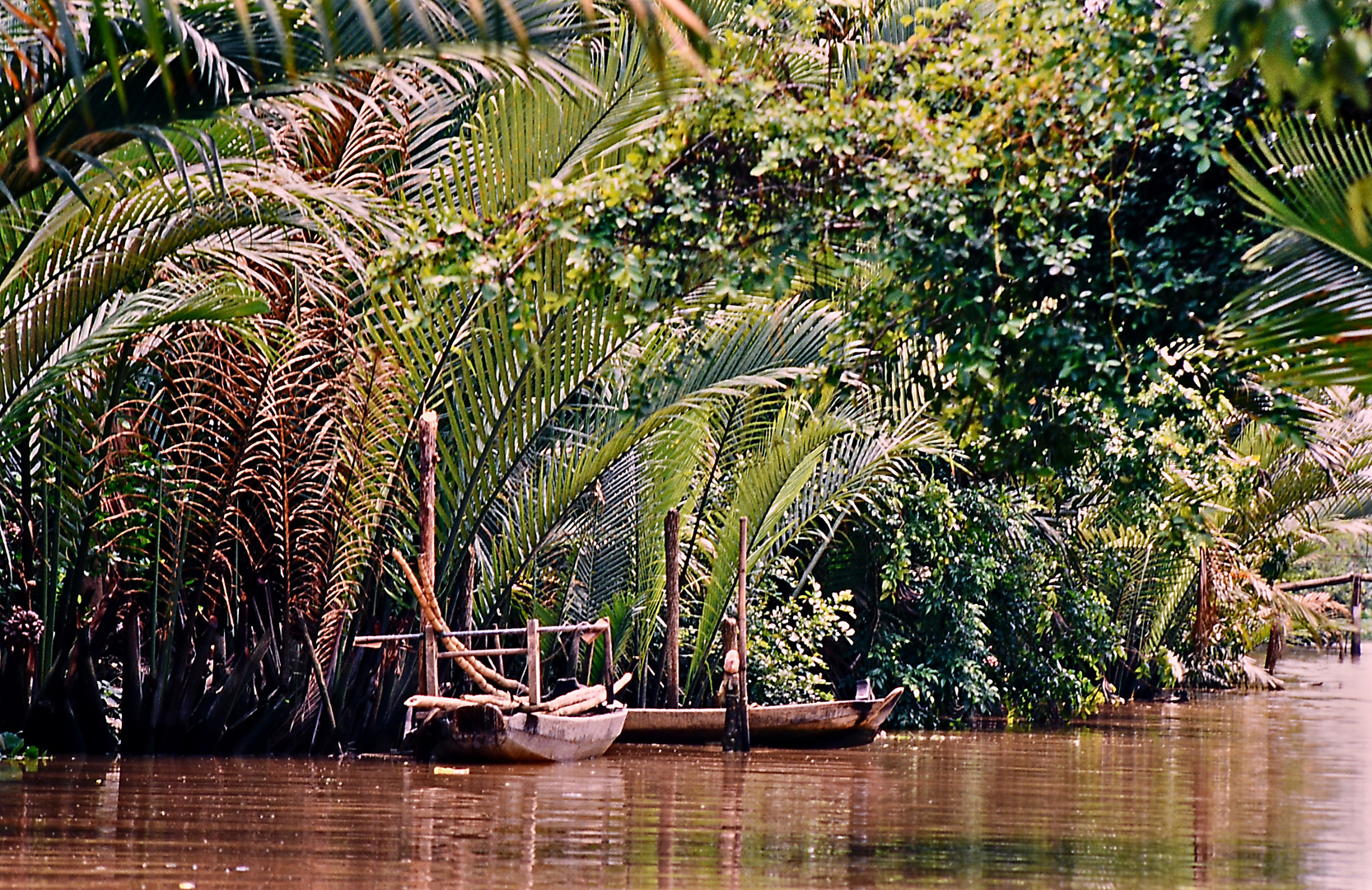 Mekong-Delta 01