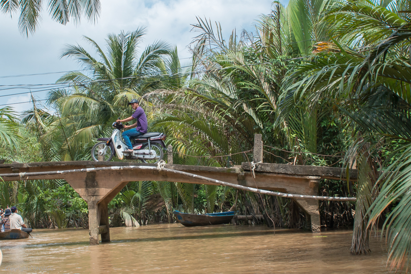 Mekong Delta