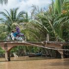 Mekong Delta