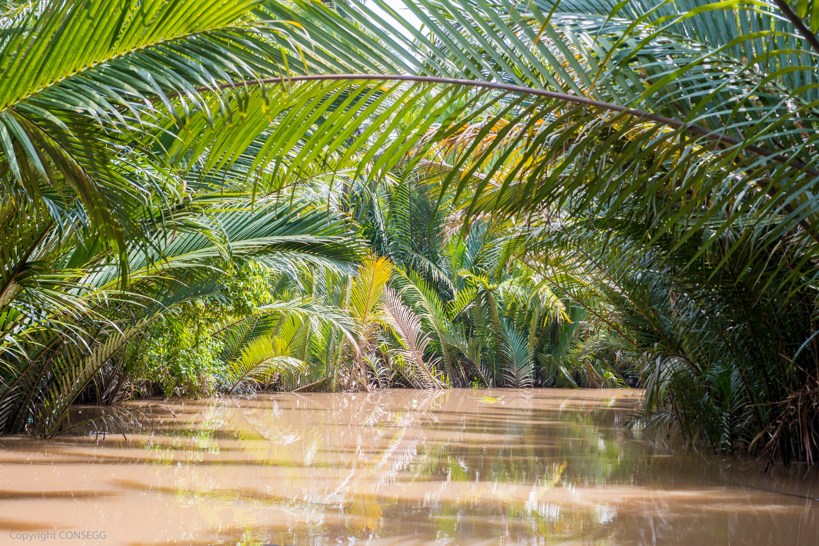 Mekong Delta