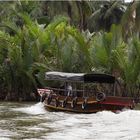 Mekong Delta