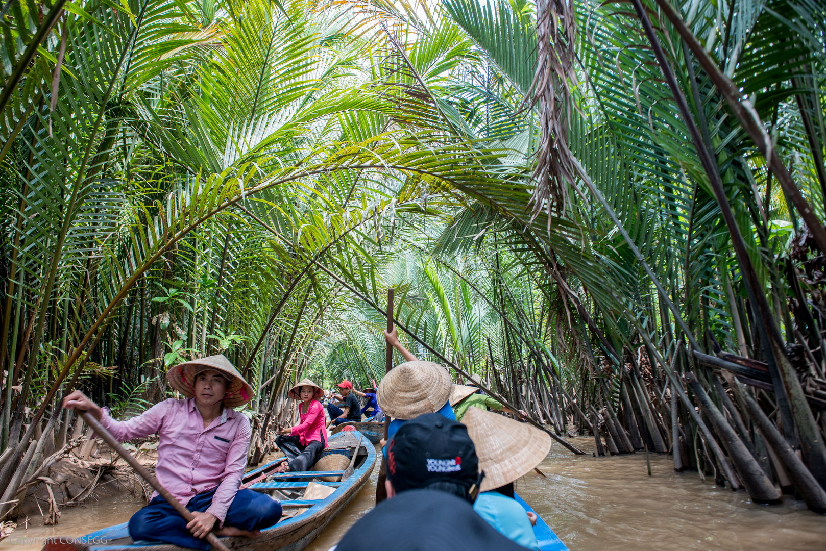 Mekong Delta