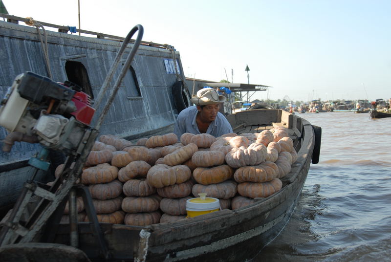 Mekong Delta