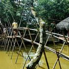 Mekong Delta: Brückenwanderung