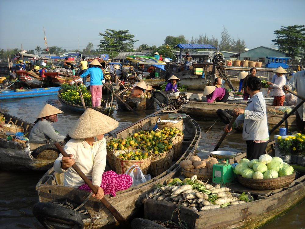 Mekong Delta