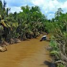 Mekong Delta