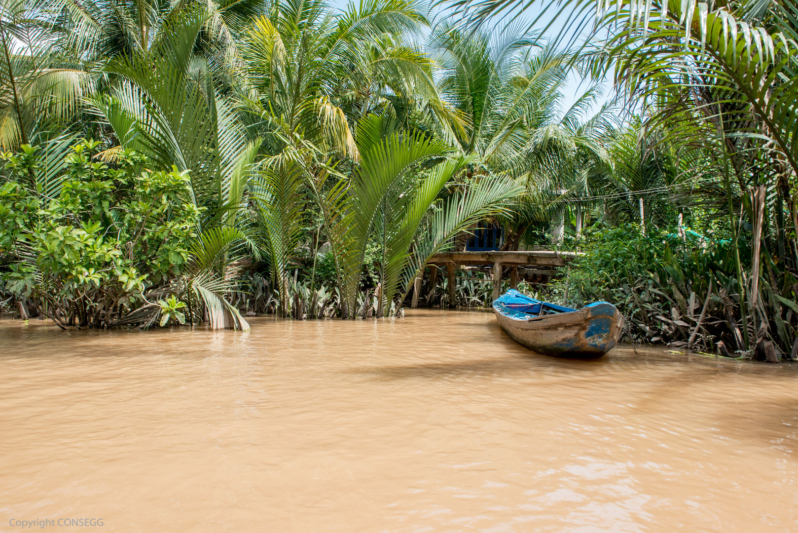 Mekong Delta